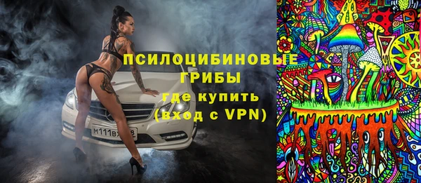 ALPHA PVP Богородицк