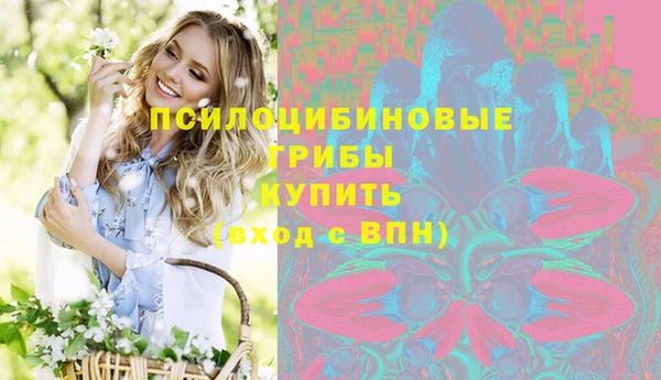 ALPHA PVP Богородицк