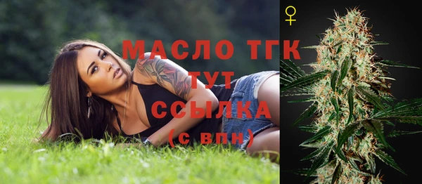 ALPHA PVP Богородицк