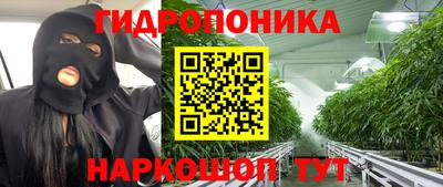 шишки Ливны