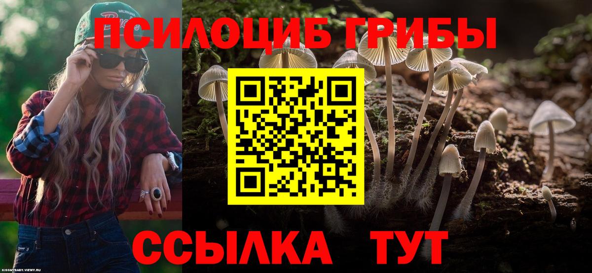 Вязьма  Псилоцибиновые грибы GOLDEN TEACHER  Галлюциногенные грибы Magic Shrooms  наркошоп  Вход с VPN 